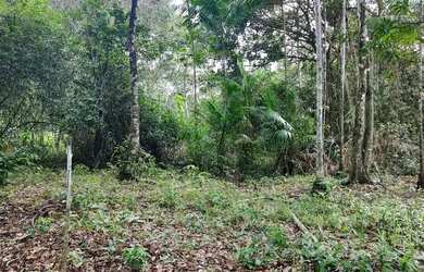 Imagem 4: SOMENTE VENDA. 1.250m² de Área