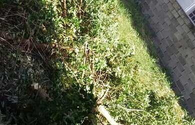 Imagem: O terreno possui 600m² de Área e está localizado em Freguesia