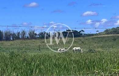 Imagem 14: Fazenda Perobas, Araruama 251 Hectares com Vocação Pecuária e Potencial...