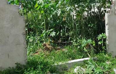 Imagem: O terreno possui 105m² de Área e está localizado em Alecrim