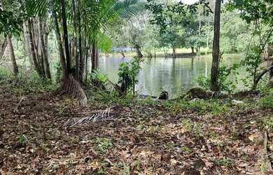 Imagem 2: SOMENTE VENDA. 1.250m² de Área