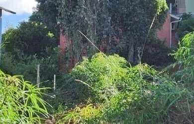 Imagem 3: Terreno para Venda em Nova Petrópolis, Logradouro