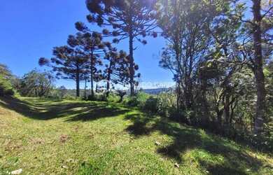 Imagem 4: AREA DE TERRAS COM VISTA DA MONTANHA