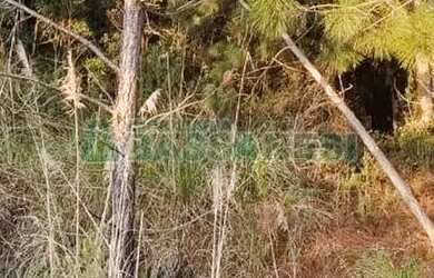 Imagem 4: Terreno Parada Cristal Caxias do Sul