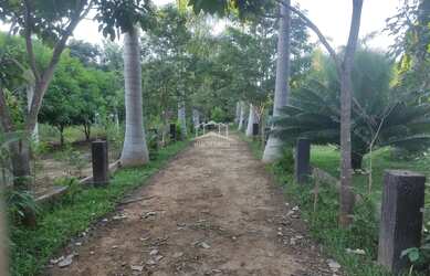 Imagem 9: VENDO LINDA CHACARA DE 7000 M² NA ESTRADA DE ACESSO PARA JURAMENTO COM...