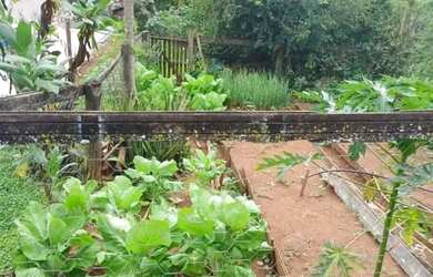 Imagem 15: Chácara para Venda em Socorro, zona rural, 3 dormitórios, 1 suíte,...