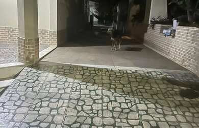 Imagem 12: VENDO CASA NO PARQUE FLORESTA