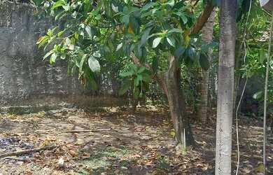 Imagem 5: Casa na Ilha Gameleira Marcelino Fundo do Atacadão