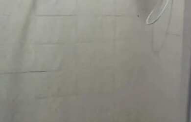 Imagem 4: Alugo pequena casa em Irajá