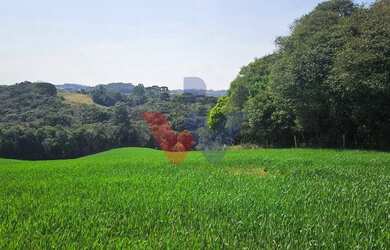 Imagem: Área de 20.000 m para Chácara Próxima a Araucária Ótima