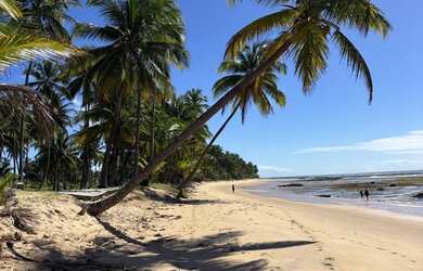 Imagem: O apartamento possui 1 Dormitório, Acomodam 4 pessoas, 3 Vagas