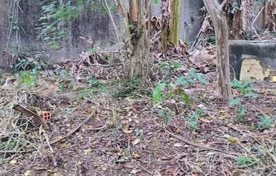 Imagem 4: Terreno com 523m2 no Jardim Guanabara - Rio de Janeiro - RJ