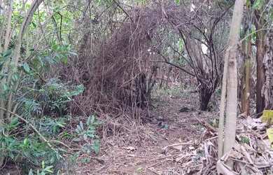 Imagem 1: Terreno com 523m2 no Jardim Guanabara - Rio de Janeiro - RJ