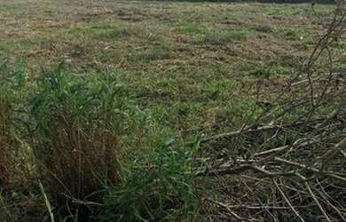 Imagem 8: Terreno, 55350 m² - venda por R$ 3.900.000,00 ou aluguel por R$ 5.000,00/mês...