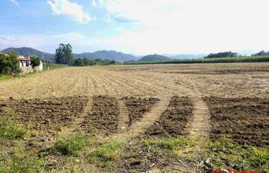 Imagem 1: Terreno, 55350 m² - venda por R$ 3.900.000,00 ou aluguel por R$ 5.000,00/mês...