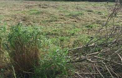 Imagem 5: Terreno, 55350 m² - venda por R$ 3.900.000,00 ou aluguel por R$ 5.000,00/mês...