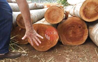 Imagem 11: Fazenda com 1 dormitório à venda, 8820000 m² por R$ 22.000.000,00 -...