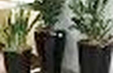 Imagem 2: Imóvel para venda com 94 metros quadrados com 2 quartos em Praia da Costa...