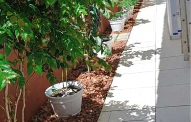 Imagem 1: Condomínio Wilson Teles