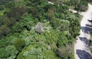 Imagem 5: Terreno no bairro Forqueta em Caxias do Sul