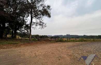 Imagem 5: Área à venda, 247900 m² por R$ 3.000.000,00 - Paris - Guaraniaçu/PR