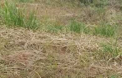 Imagem 2: Terreno Bairro Industrial