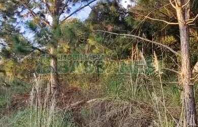 Imagem: Terreno Parada Cristal Caxias do Sul