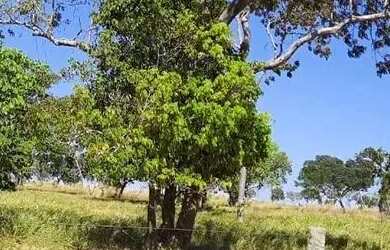 Imagem: A fazenda possui 1.000m² de Área e está localizado em Setor