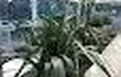 Imagem 4: Imóvel para venda com 94 metros quadrados com 2 quartos em Praia da Costa...