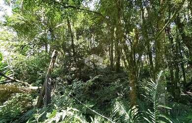 Imagem 2: Terreno a venda Vila Suzana em Canela