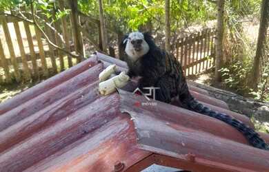 Imagem 12: Excelente Casa 4 dormitórios, 7 vagas - Village do Sol - Guarapari/ES