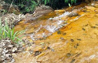 Imagem 5: Arrendo Fazenda de 18 alqueires próxima ao asfalto