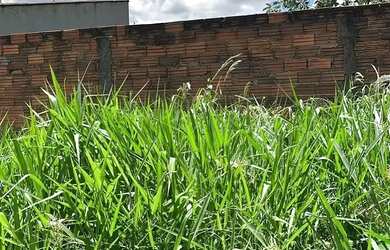 Imagem: O terreno possui 531m² de Área e está localizado em Setor