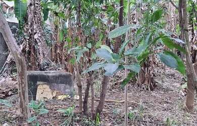 Imagem 3: Terreno com 523m2 no Jardim Guanabara - Rio de Janeiro - RJ