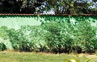 Imagem: A casa possui 3 Dormitórios, 3 Banheiros, 5 Vagas na garagem