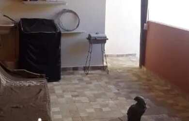 Imagem 6: Casa frente ao mar em Jauá