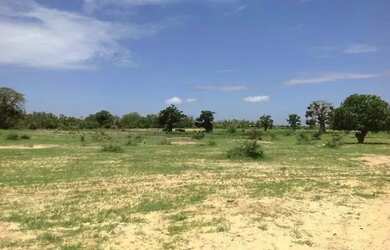 Imagem 4: Terreno em Ibiúna com doc boa e acesso simples