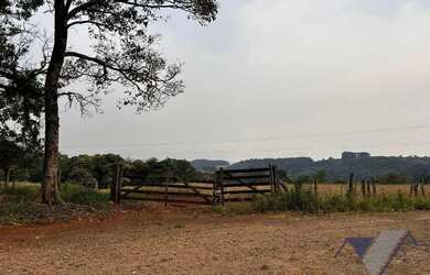 Imagem 7: Área à venda, 247900 m² por R$ 3.000.000,00 - Paris - Guaraniaçu/PR