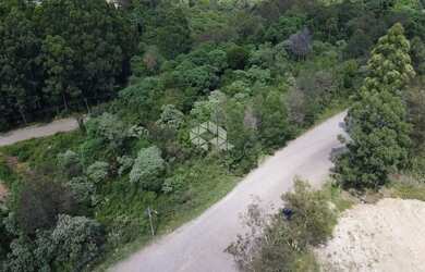 Imagem 7: Terreno no bairro Forqueta em Caxias do Sul