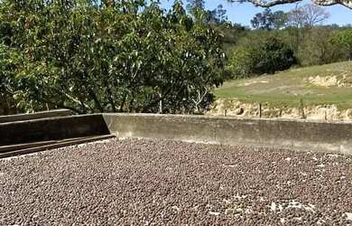 Imagem 9: SITIO RURAL em PORTO FELIZ - SP, porto