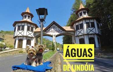 Imagem 1: Aguas de Lindóia - Troco Prédio 16 aptos Alugados por Terreno maior...