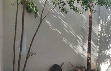 Imagem 10: Casa com quintal e AMPLA na Pedra de Guaratiba