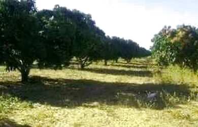 Imagem 9: Terreno, 450m2, Condomínio Recanto das Águas, Petrolina/PE