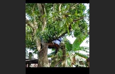 Imagem 6: casa de alvenaria. 1 Vaga na garageme2 Dormitórios