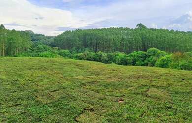 Imagem: A fazenda possui 5.850m² de Área e está localizado em Lamenha
