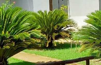 Imagem 2: Casa Praia Pirambú. Piscina, Churrasqueira, Acomodam 20 pessoase5 Vagas...