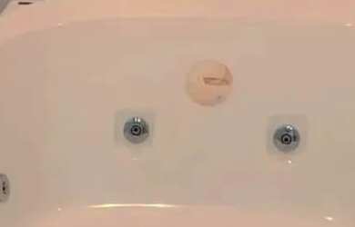 Imagem 2: Imóvel para aluguel possui 250000 metros quadrados com 3 quartos em Aleixo...