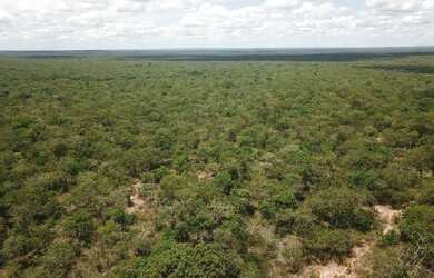 Imagem 3: Fazenda 15.416. Valor 61.664.000