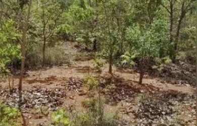 Imagem 6: FAZENDA - 1.500 HECTARES. 15.000.000m² de Área