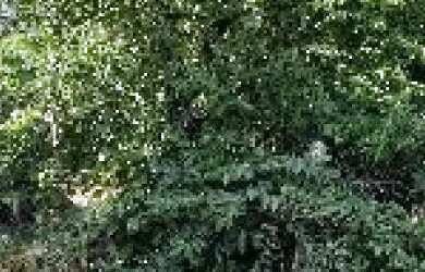 Imagem: O terreno possui 1m² de Área, Imóvel novo e está localizado